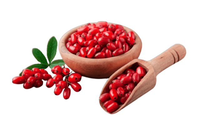 berberine