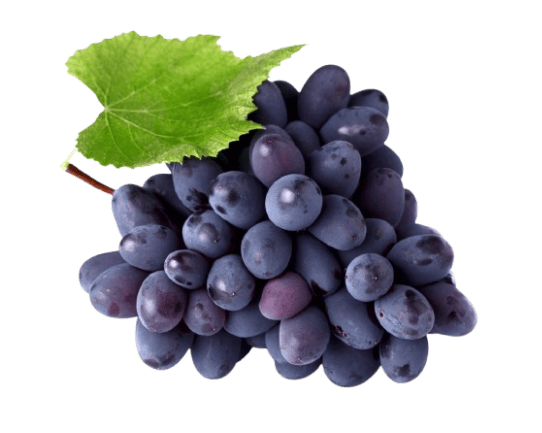 resveratrol